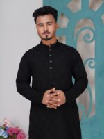 ELEGANT PANJABI CODE-AP02 - Image 3