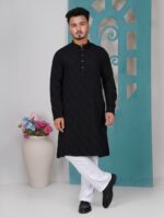 ELEGANT PANJABI CODE-AP02